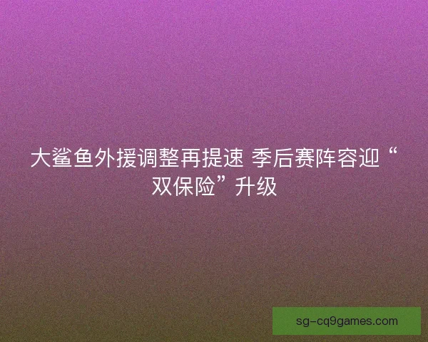 大鲨鱼外援调整再提速 季后赛阵容迎 “双保险” 升级